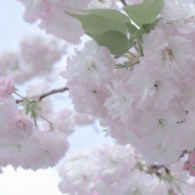 Furry数位绘画实用技巧兽圈社群